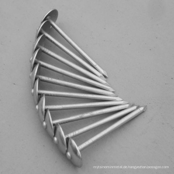 Verzinktes Eisen Umbrella Roofing Nail